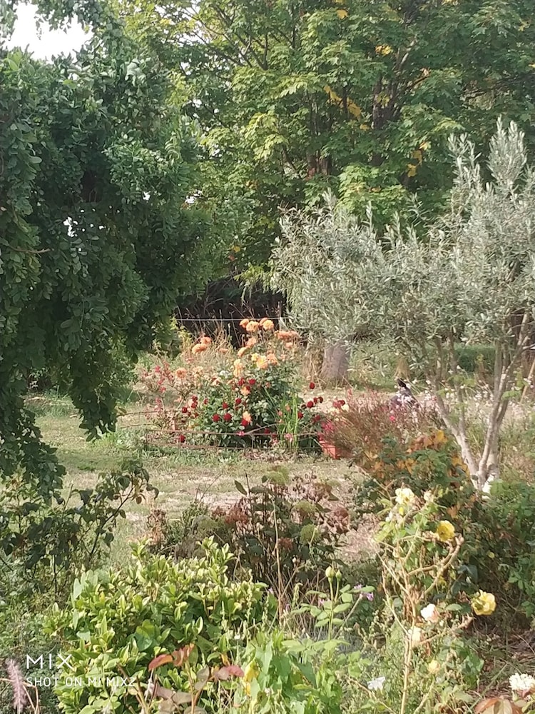 Photo 37