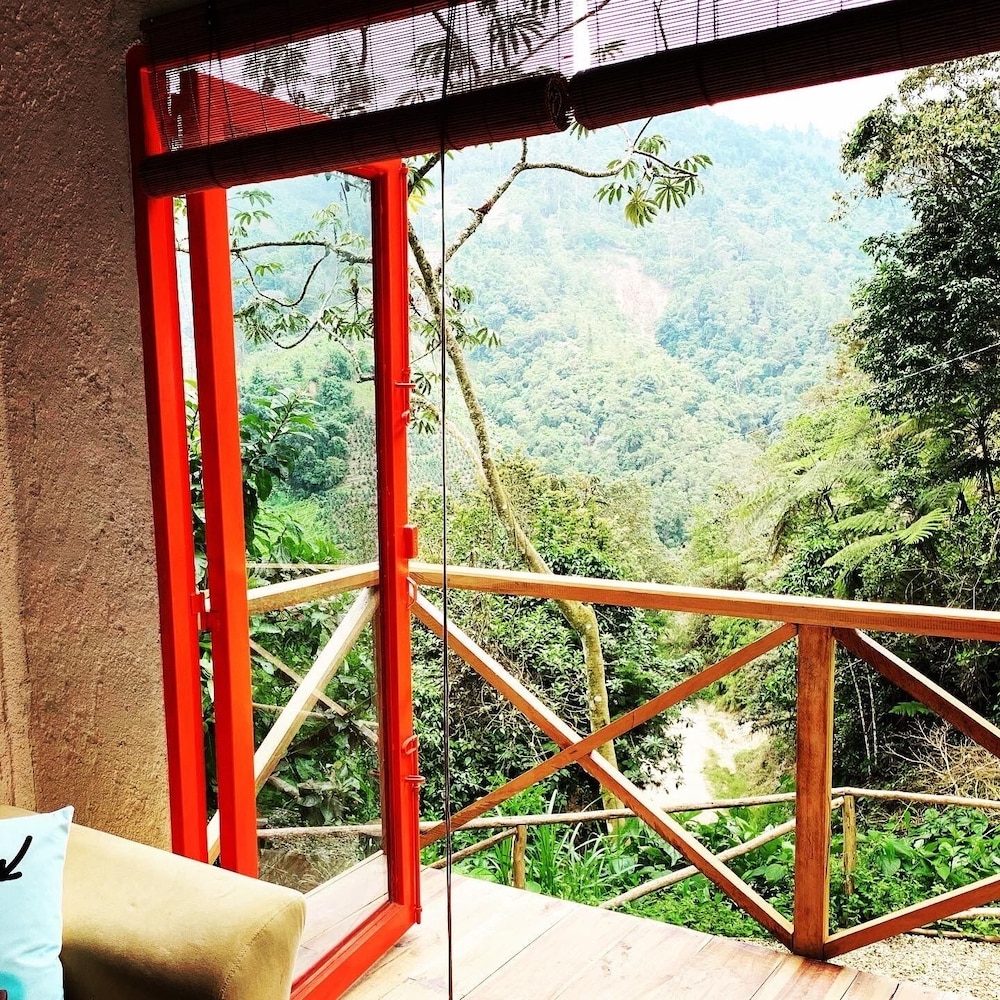 Finca Montaña Magica