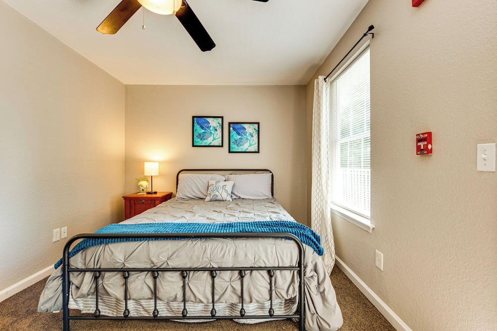 Universities, Parks & More: Getaway in Tallahassee