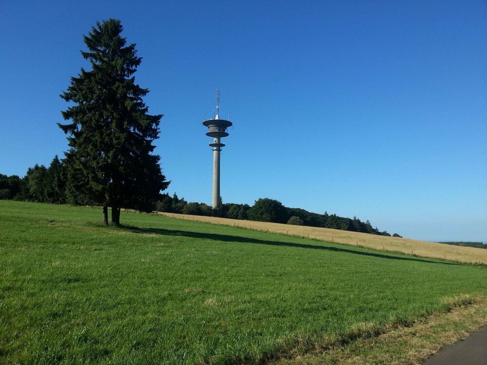 Photo 12