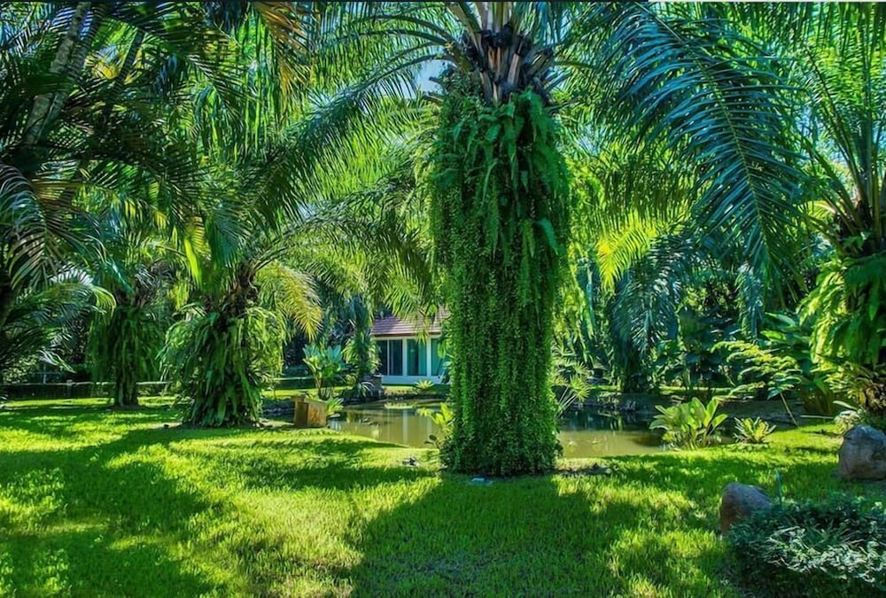 LPC Holiday Villa