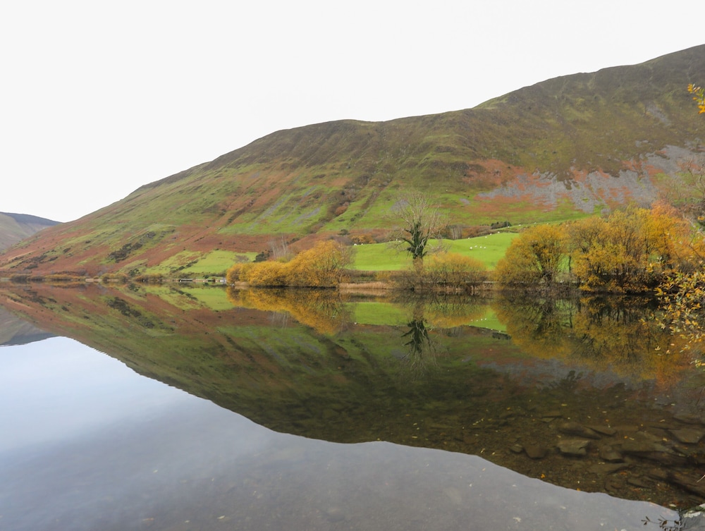 Bryn Y Mor