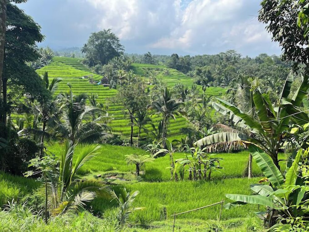 Saridevi Ecolodge Bali view 3
