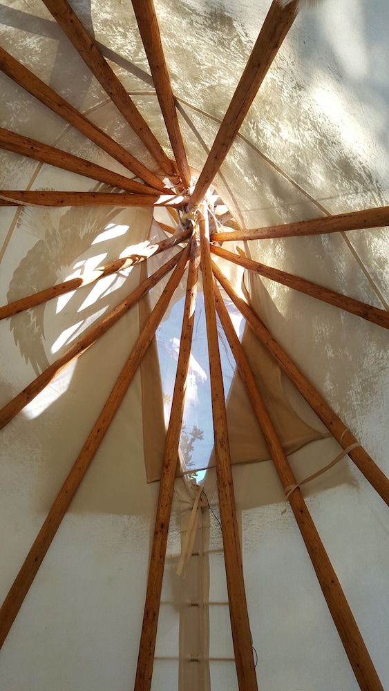 Old Owl's Nest - Property Image 27