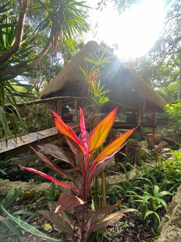 Corazón de Selva