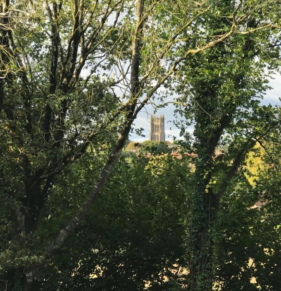 Photo 13