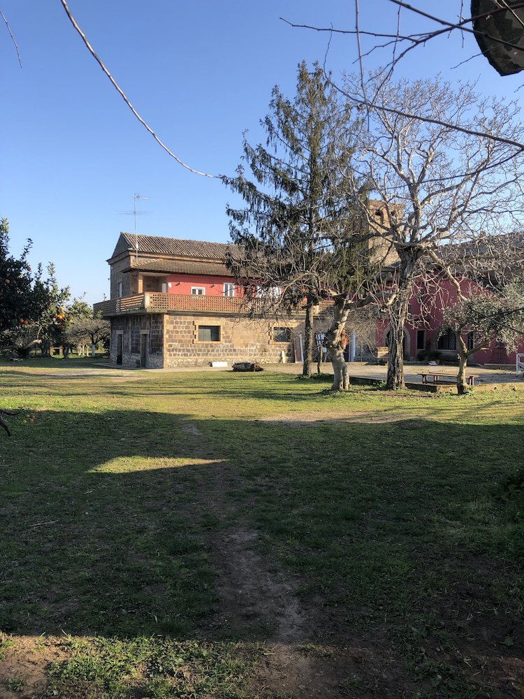 Photo 29