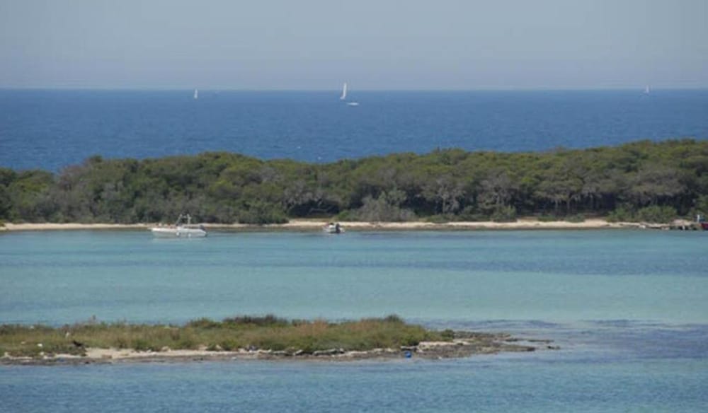 Quilungomare