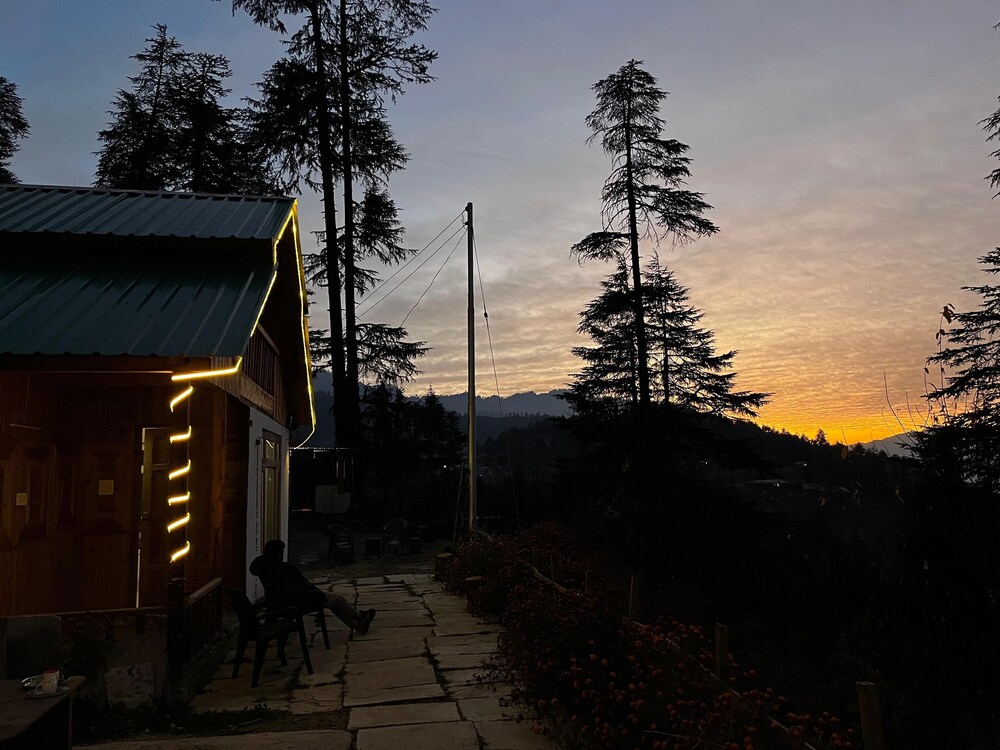 Timber nest Cottage