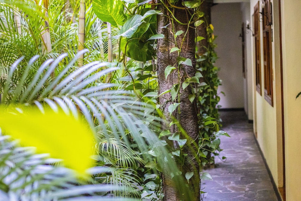 Árbol de Fuego Eco-hotel, a green experience in the city