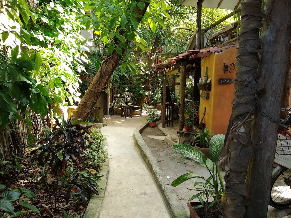 Casitas Kinsol