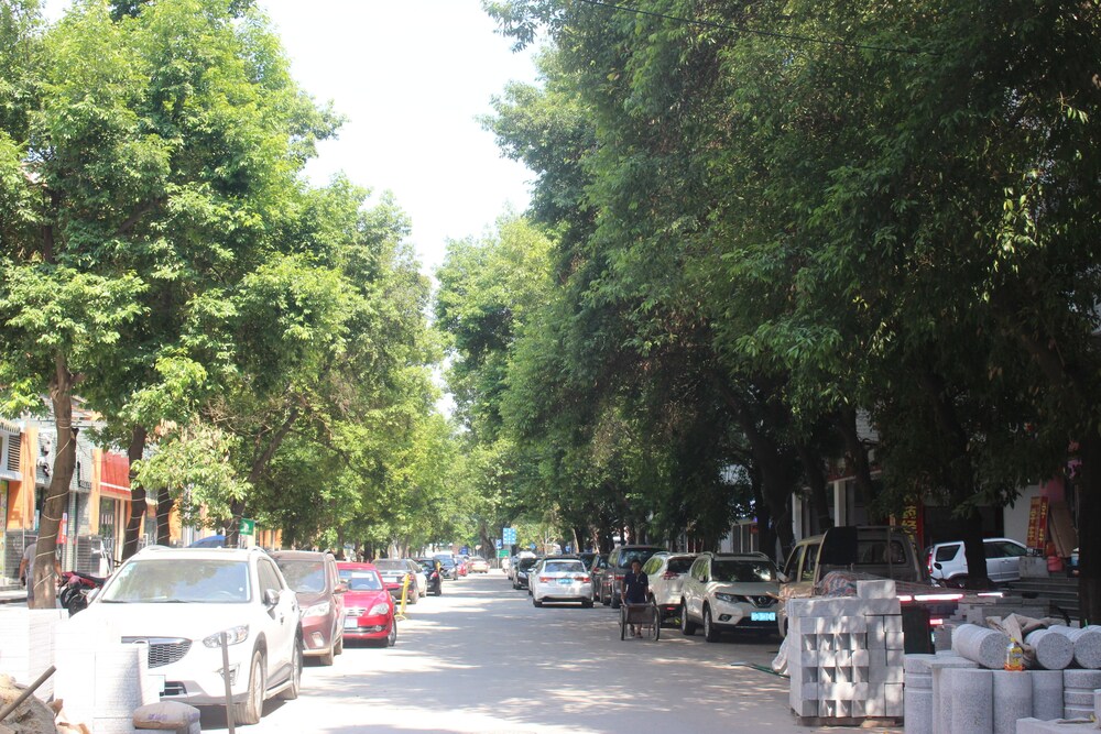Photo 29