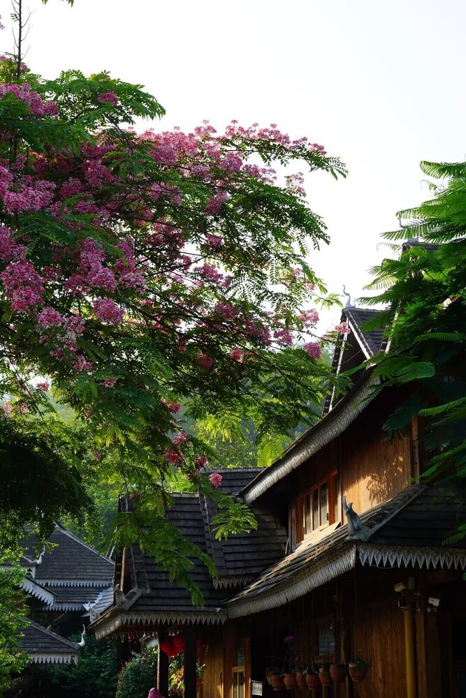 Zhaizili Resort Xishuangbanna