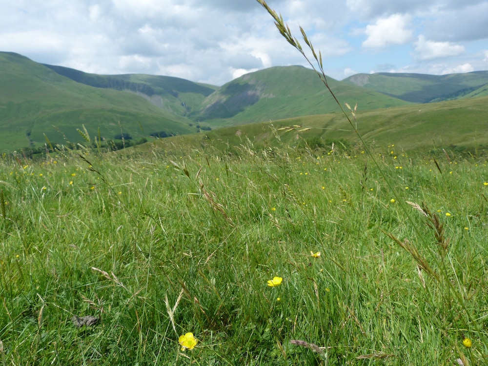 Howgill Cottage