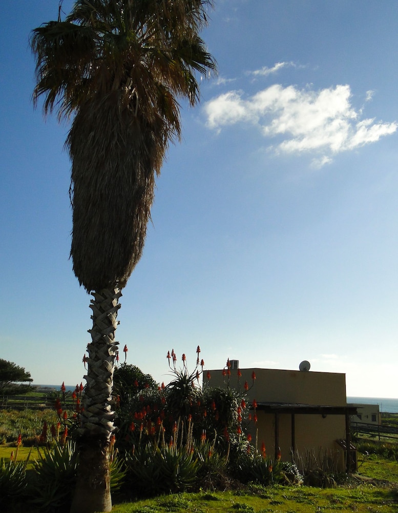 Il Giardino delle aloe