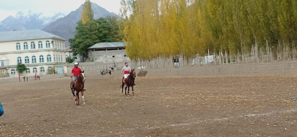 Photo 11