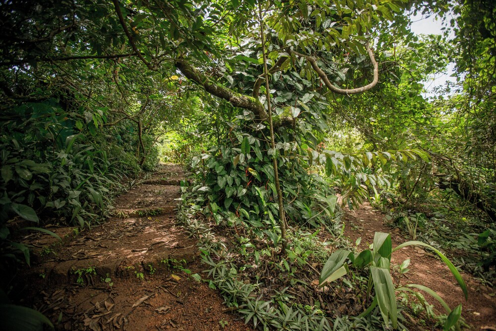 Khaama Kethna Wellbeing Retreat Centre