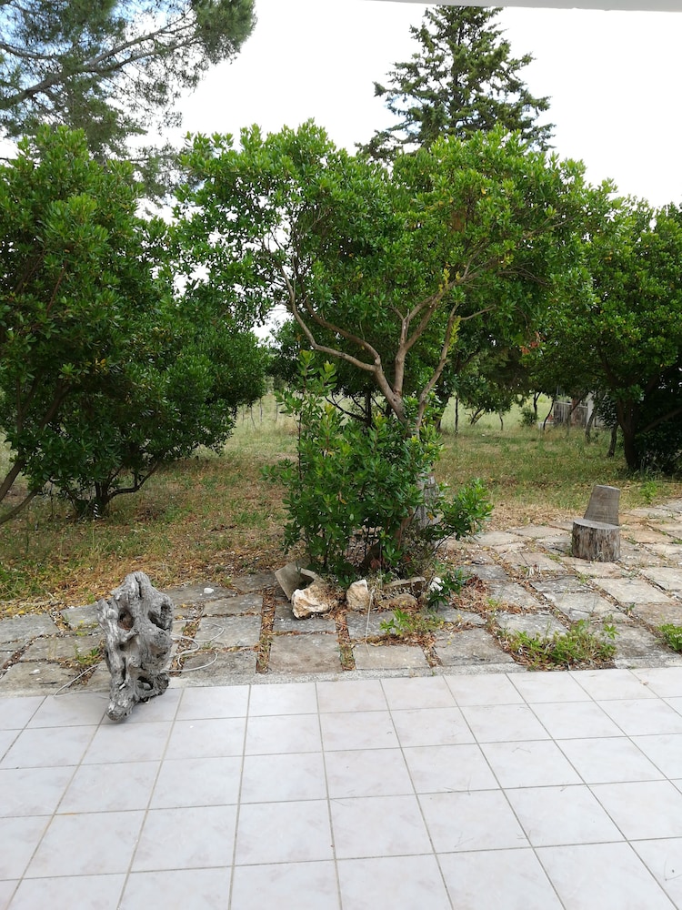 Photo 24