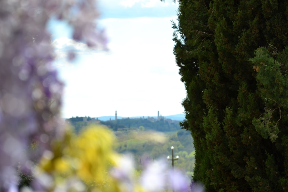 La Certosa di Pontignano