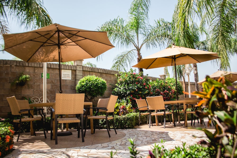 Culiacan Vacations - Hotel Maioris Jesus Kumate - Property Image 11
