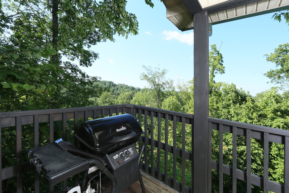 Pine Needles 6 1 Br cabin by RedAwning