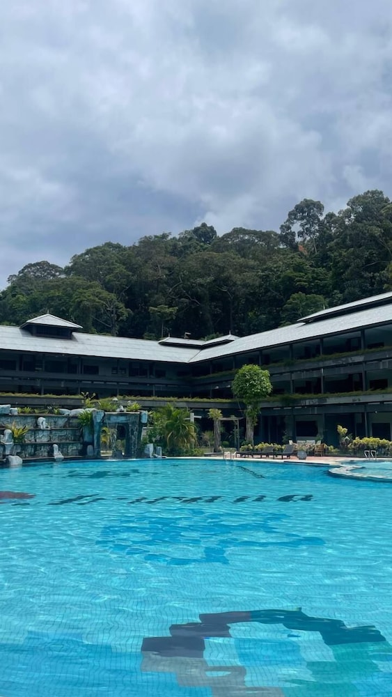 Arwana Perhentian Bluestar