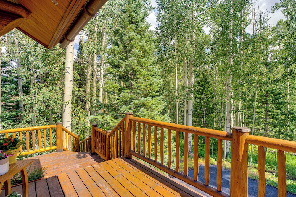 Ski-in/ski-out Telluride Home w/ Deck & Hot Tub! view 5