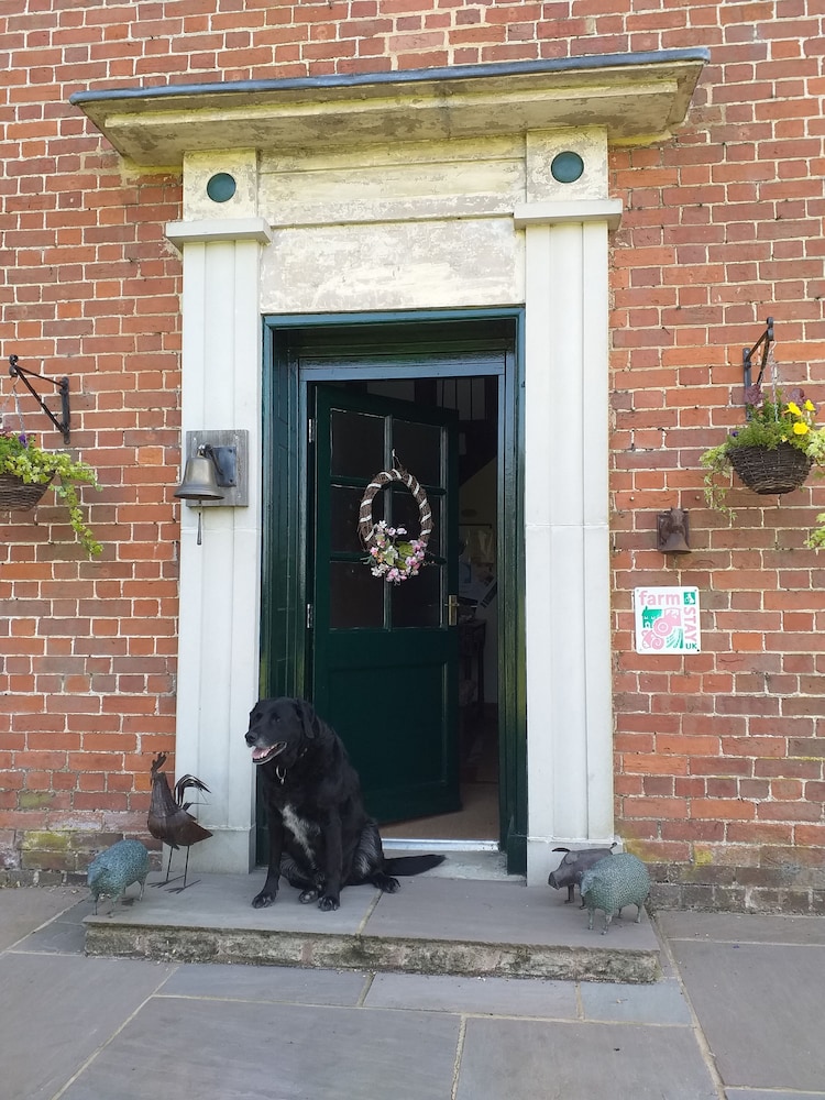 Broome Park Farm B&B