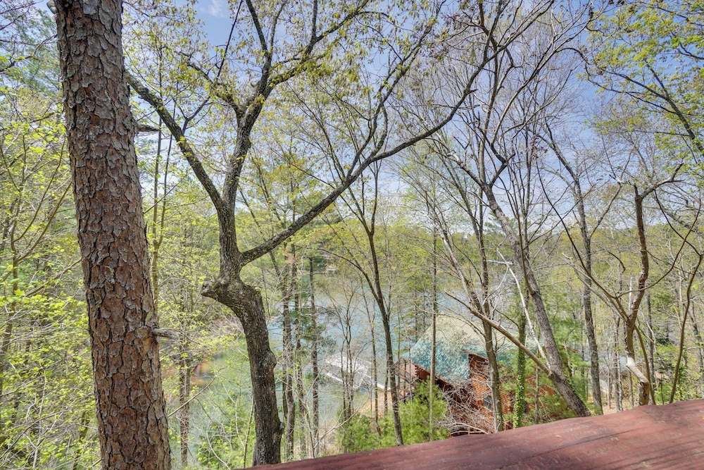 Hiwassee Lake Access: Pet-friendly Cabin w/ Views!