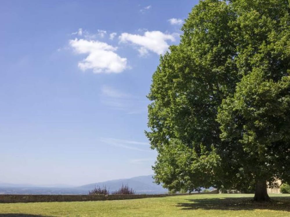 Holiday Home in Pergine Valdarno With Pool view 5