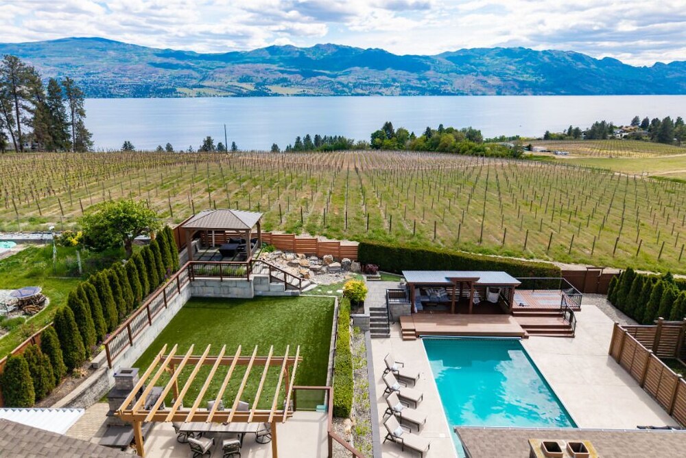 Vineyard Views