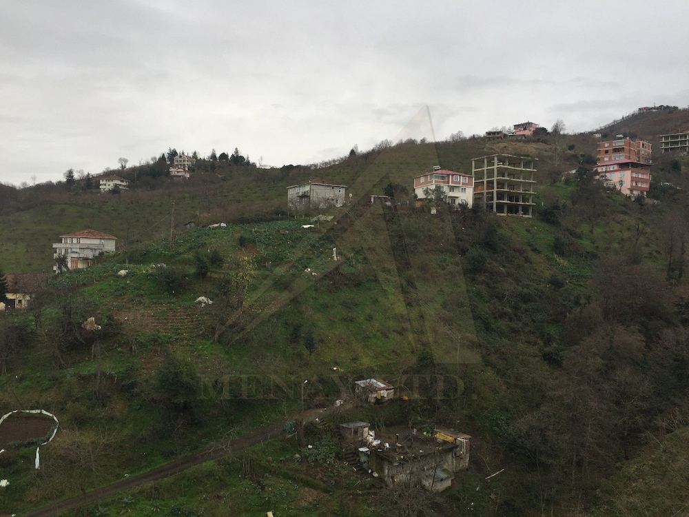 Menay Properties - 3