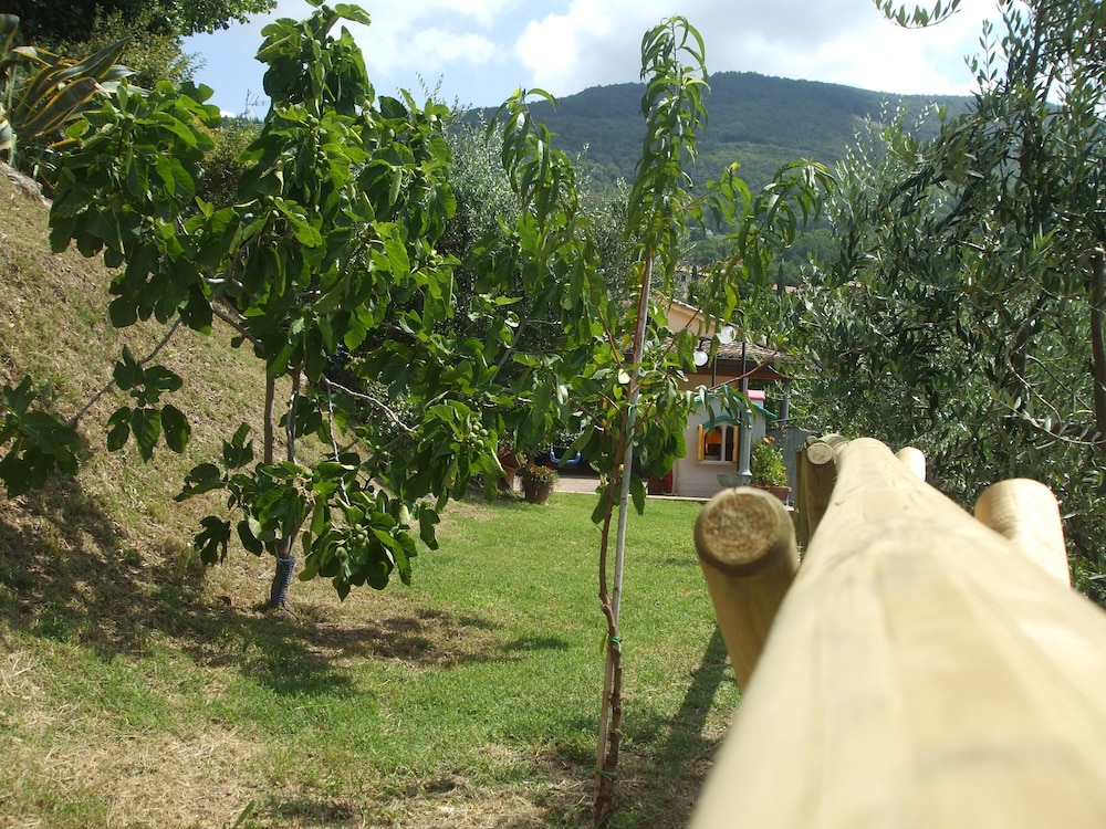 Camere Ramaccia