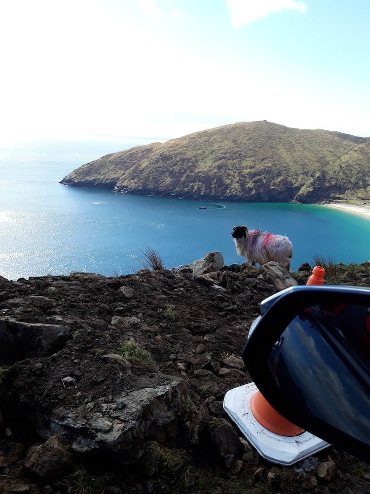 West Coast House BB - Property Image 2