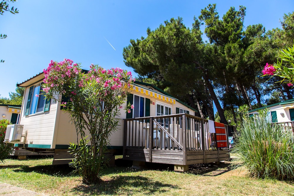 Arena Stupice Camping Homes