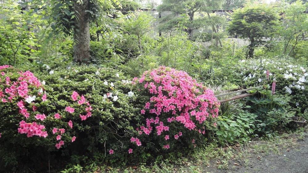 Guest House Yamanouchi