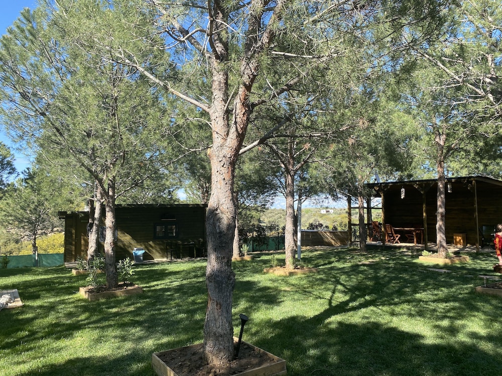 Elyada Otel ve Bağ Evi (+8 Yaş) - Image 47