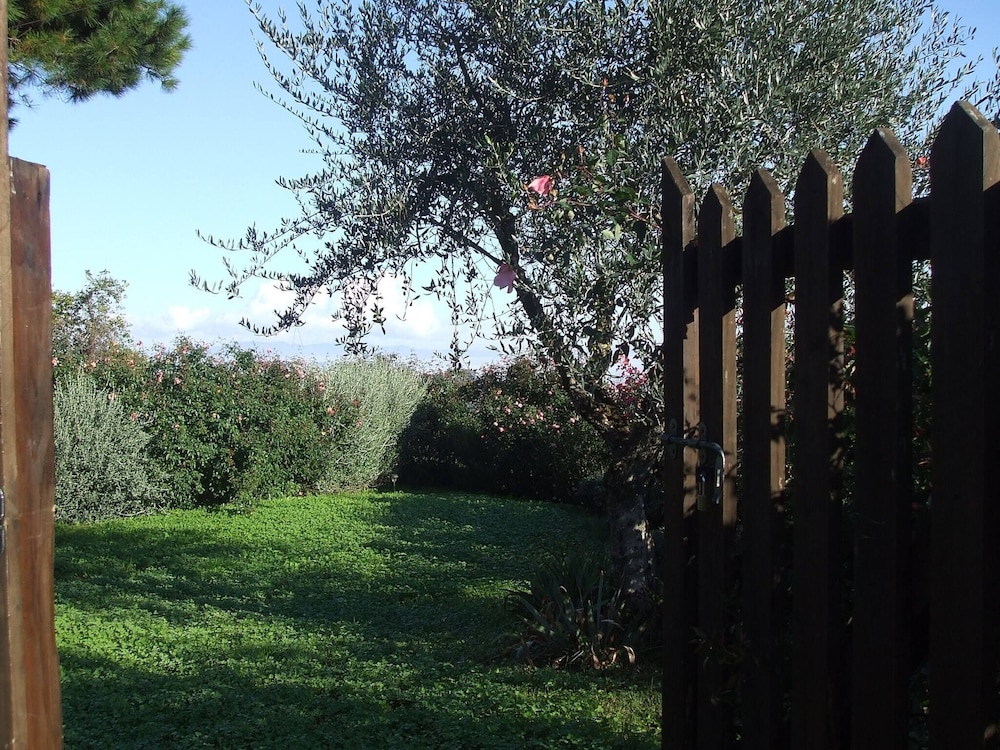 Photo 45