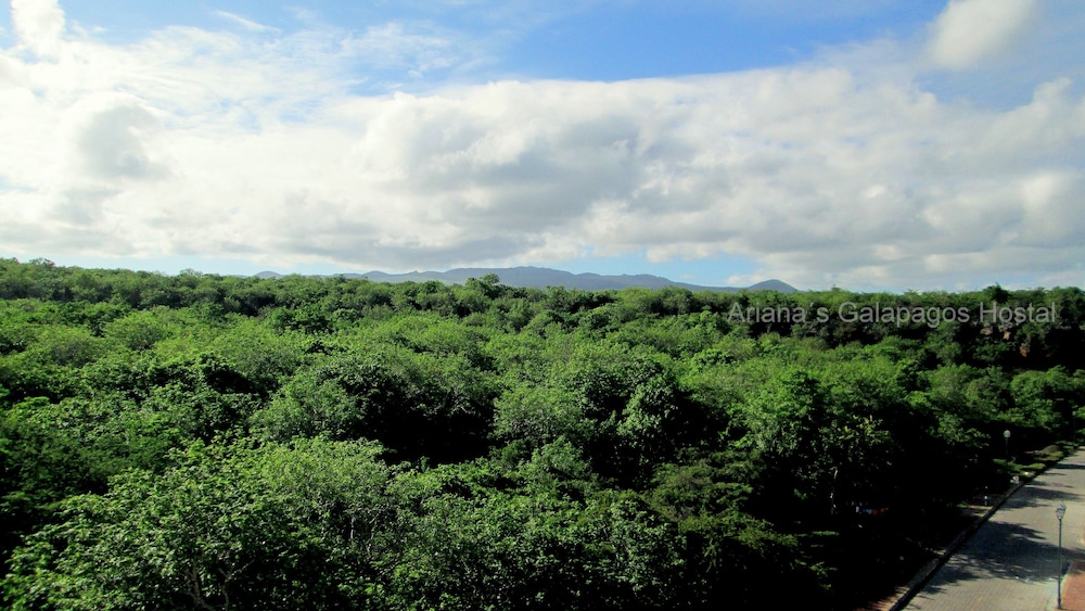 Ariana´S Galapagos Hostal