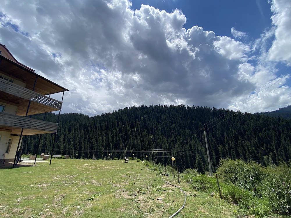 Photo 19