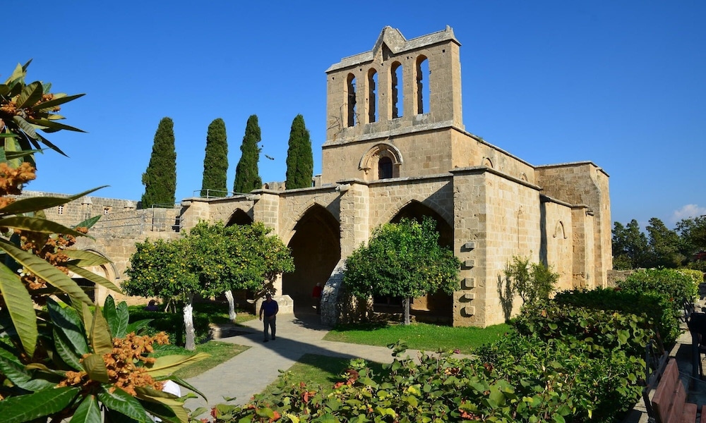 Photo 45