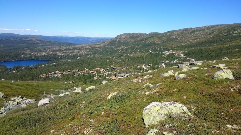 Furulie Cabin - Flå