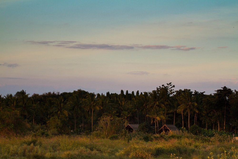 Simbamwenni Lodge and Camping, photo 42