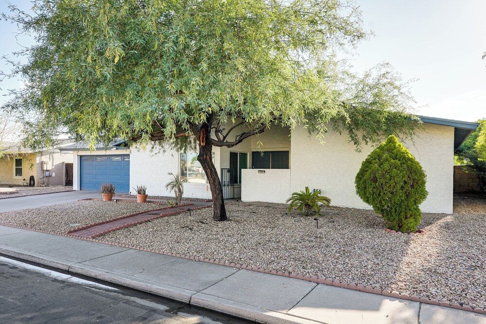 Mesa Oasis w/ Diving Pool By Spring Training, Dtwn