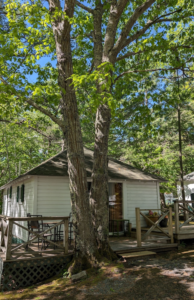 Hinckleys Dreamwood Cottages