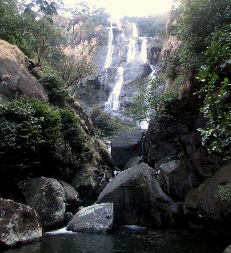 Udzungwa Forest Camp
