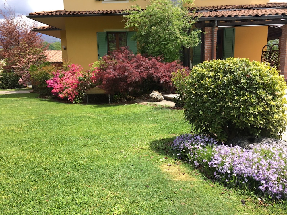 Photo 41