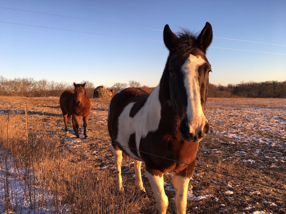 Lawrence Vacations - Circle S Ranch - Property Image 63