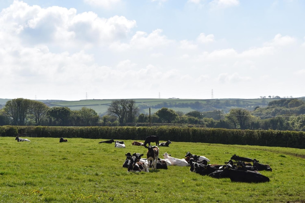Treveighan Farmhouse
