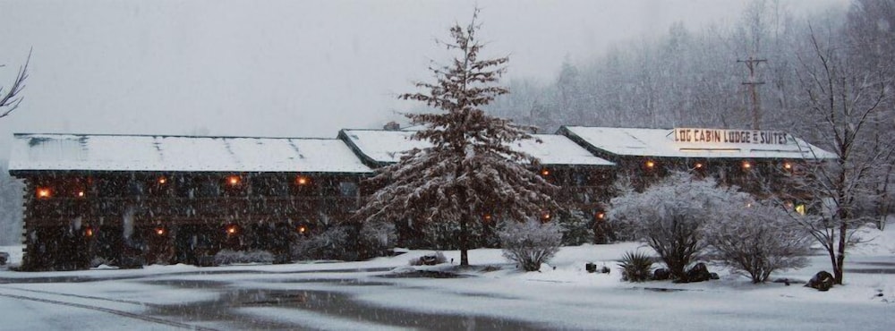 Hotel Log Cabin Lodge & Suites